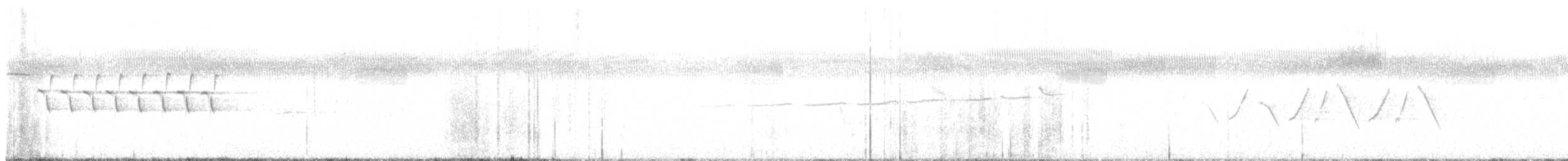 Bachman's Sparrow - ML636737539