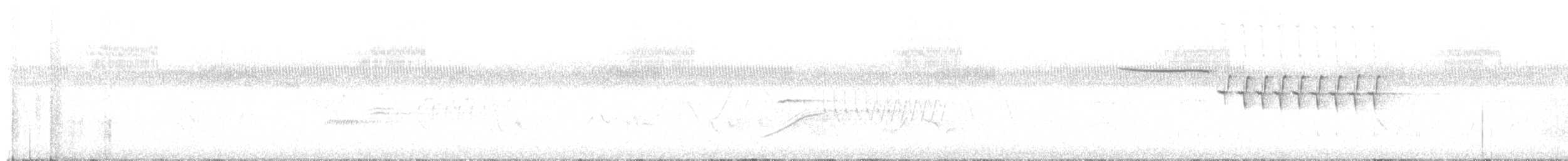 Bachman's Sparrow - ML636737732