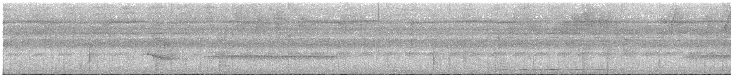 Long-billed Gnatwren - ML636739101