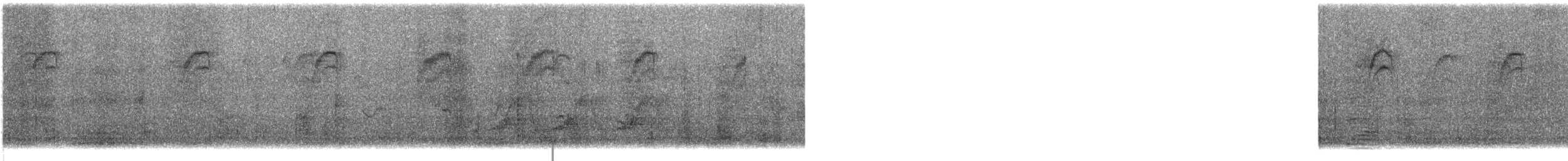 Blue-gray Gnatcatcher - ML636740488