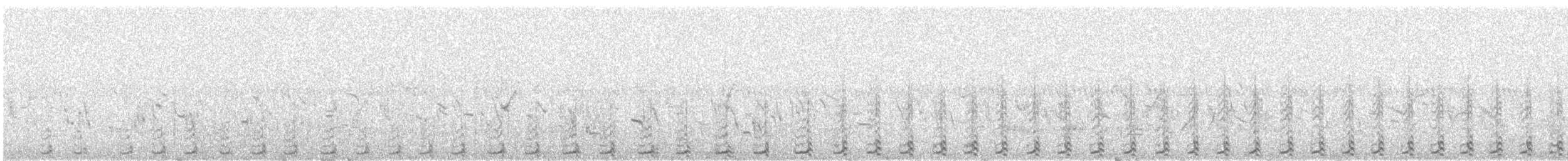 Wilsonwassertreter - ML636740833
