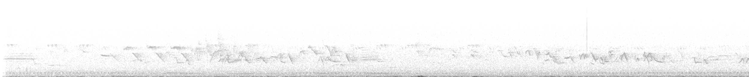 Lesser Nighthawk - ML636742004
