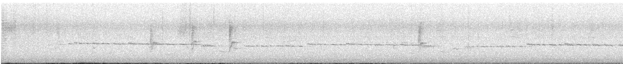 Gray Gerygone - ML636744798