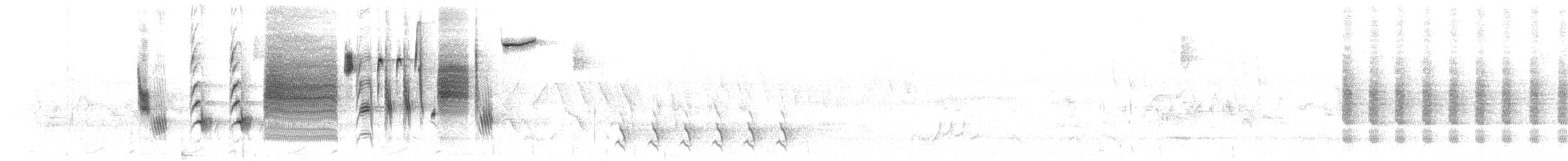 Song Sparrow (fallax Group) - ML636745279