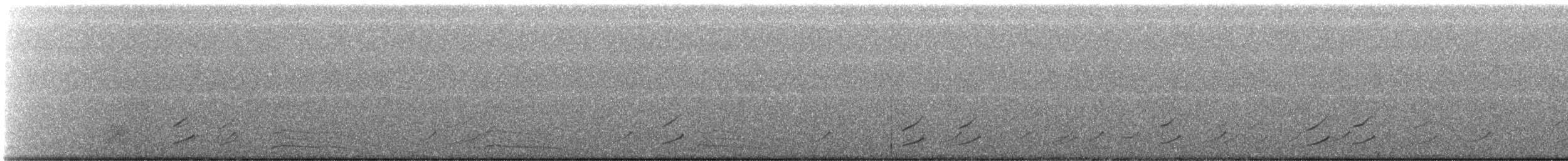 Phainopepla - ML636746130