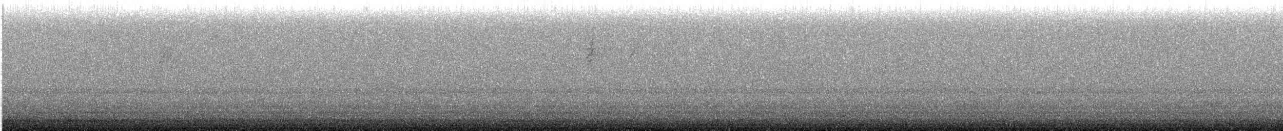 new world warbler sp. - ML636746567