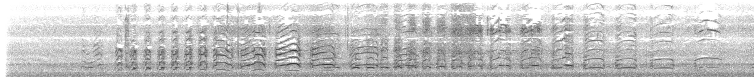 Antxeta mokogorri amerikarra - ML636747275