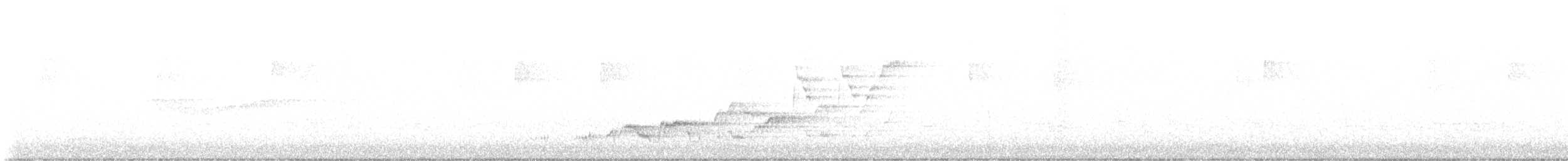 Tordo di Swainson - ML636747449