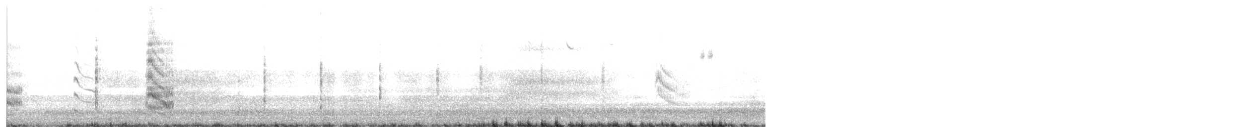 Forster's Tern - ML636748707