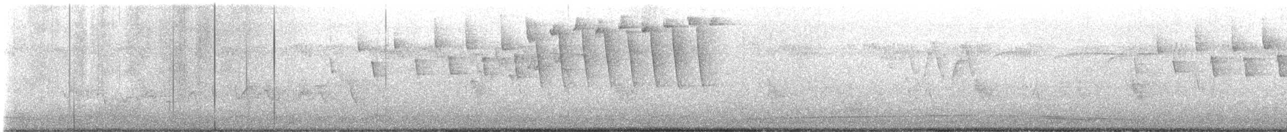 Tennessee Warbler - ML636749303