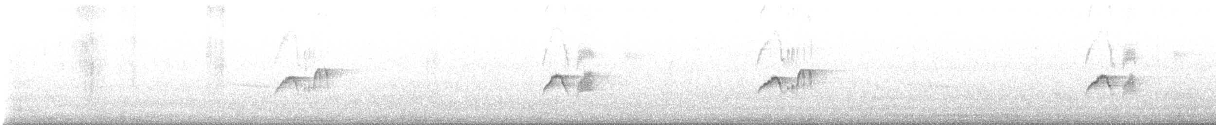 Eastern Phoebe - ML636751114