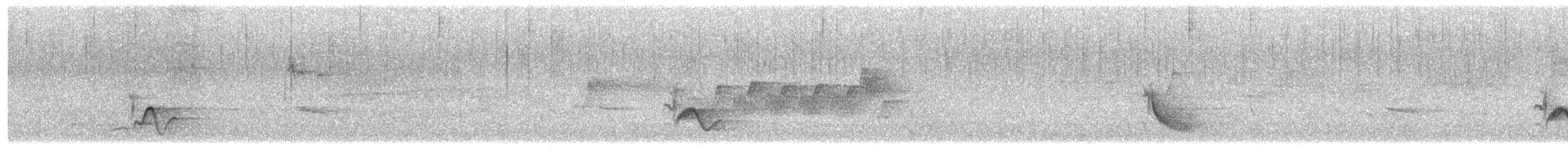 Cassin's Vireo - ML636752910