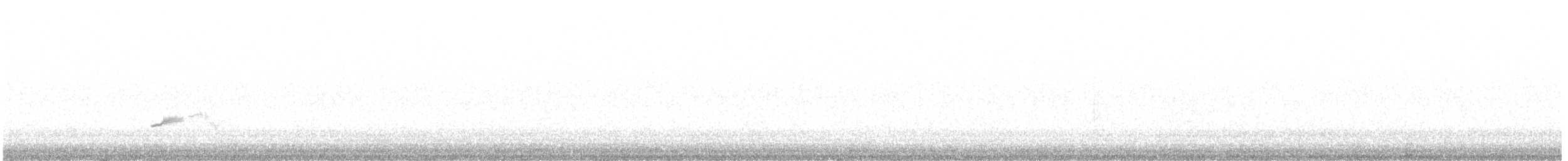 Catharus sp. - ML636754164