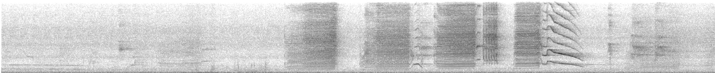 Oriole Blackbird - ML636755016