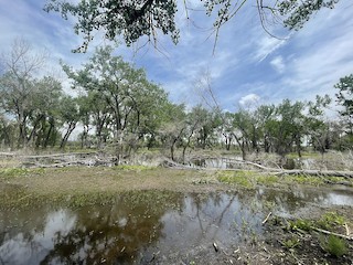 Chatfield SP--Audubon Center & Trails, Jefferson, Colorado, United ...