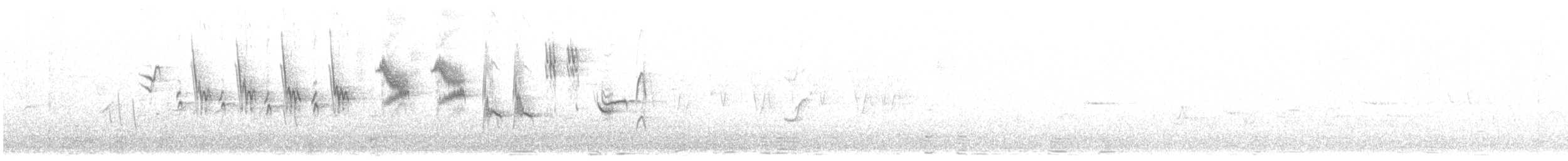 Semicollared Flycatcher - ML636757697