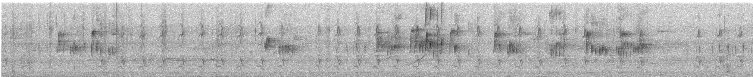 Tropical Kingbird - ML636757764