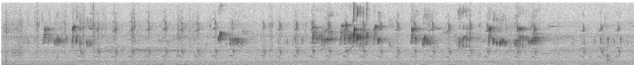 Gila Woodpecker - ML636757787