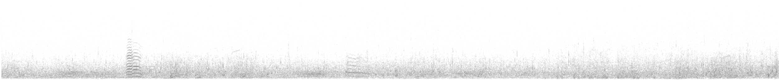 アルメニアセグロカモメ - ML636757985