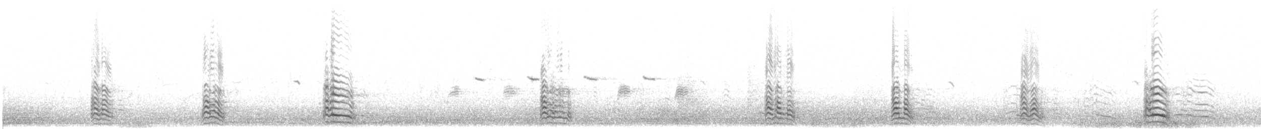 アルメニアセグロカモメ - ML636758010