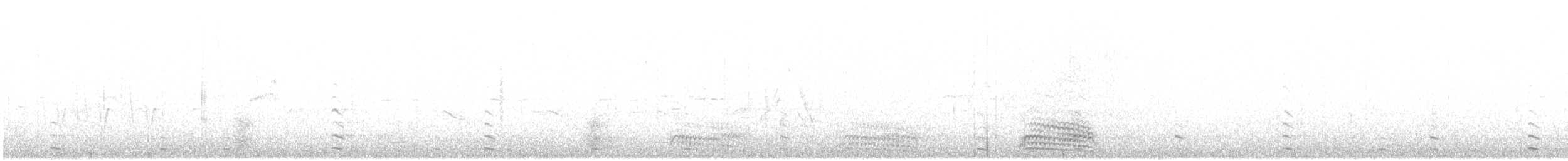 アルメニアセグロカモメ - ML636758011