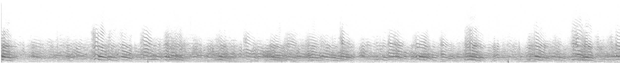 アルメニアセグロカモメ - ML636758063