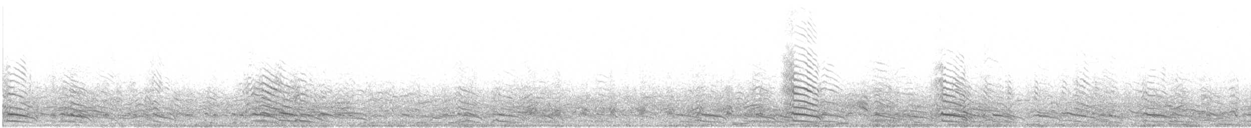 アルメニアセグロカモメ - ML636758064