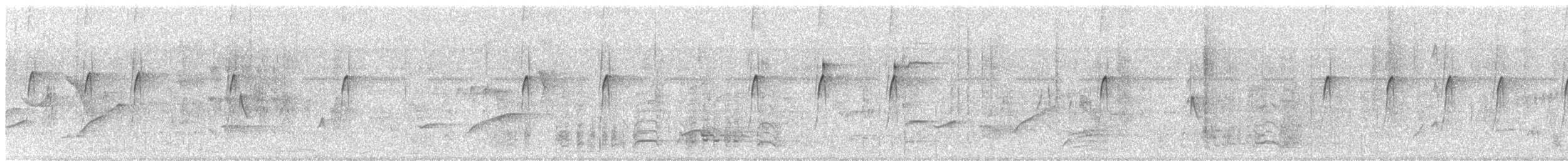 Sulphur-bellied Flycatcher - ML636758320