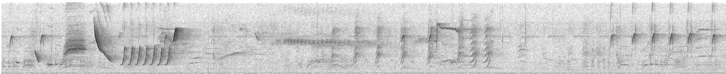 Sinaloa Wren - ML636758409