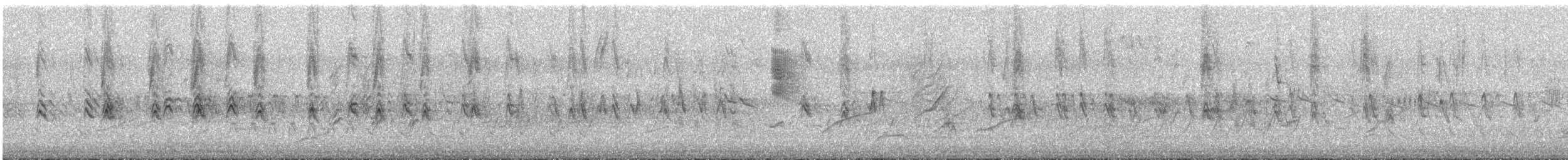 House Finch - ML636758723