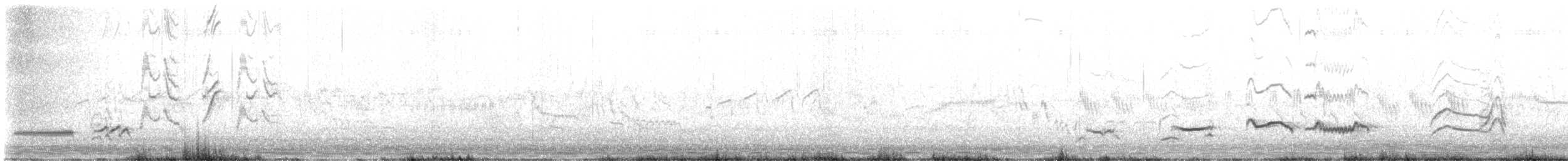 Дрізд чорний - ML636758986