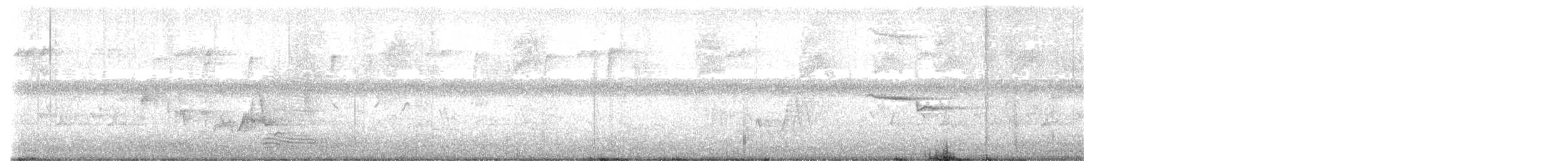 crow sp. - ML636762074