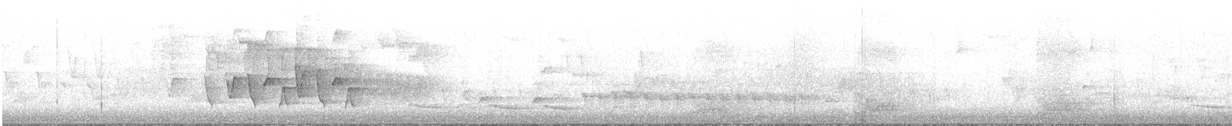 Connecticut Warbler - ML636763477