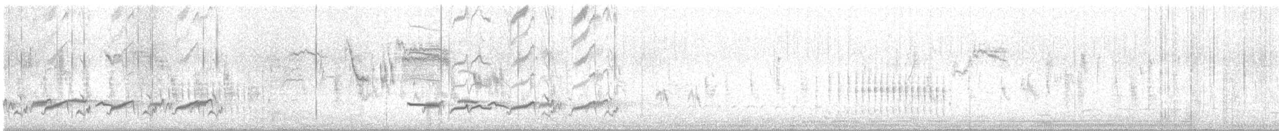 Sturnelle à sourcils blancs - ML636765651