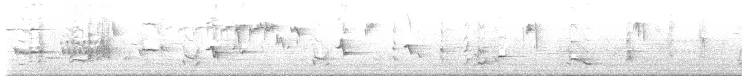 Gray Catbird - ML636765837