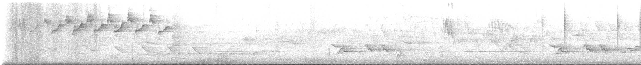 Black-and-white Warbler - ML636769740
