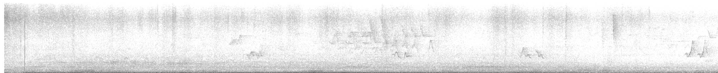 Viréo aux yeux rouges - ML636775949