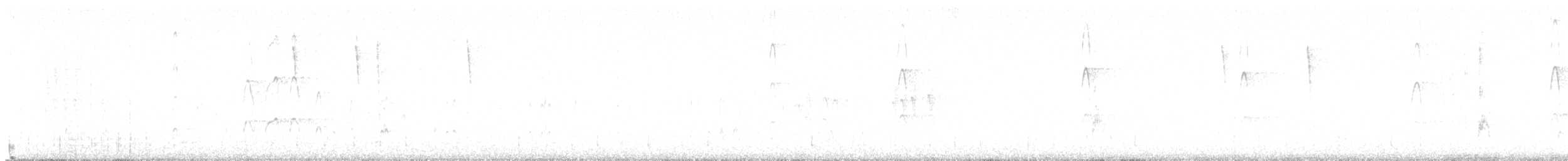 strakapoud kokardový - ML636776000