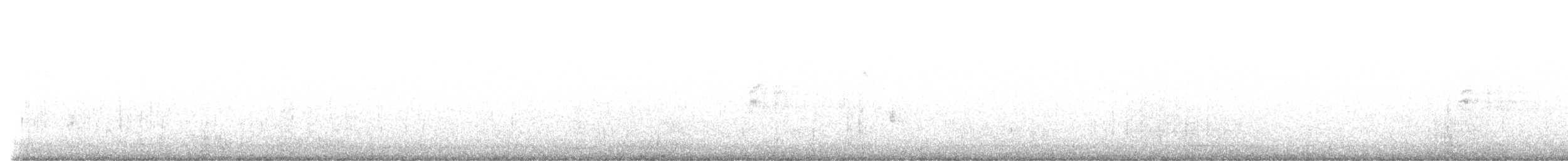 Nelson's Sparrow - ML636776212