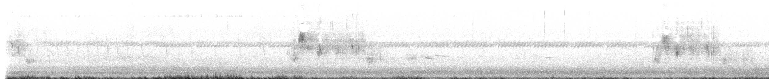 Nelson's Sparrow - ML636776232
