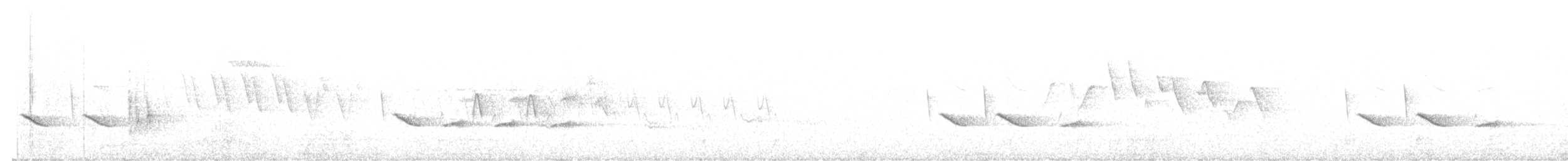 Olive Warbler - ML636776356