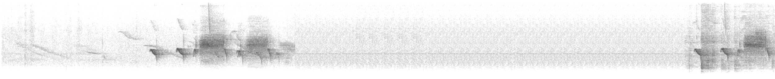 Streak-headed Antbird - ML636778282