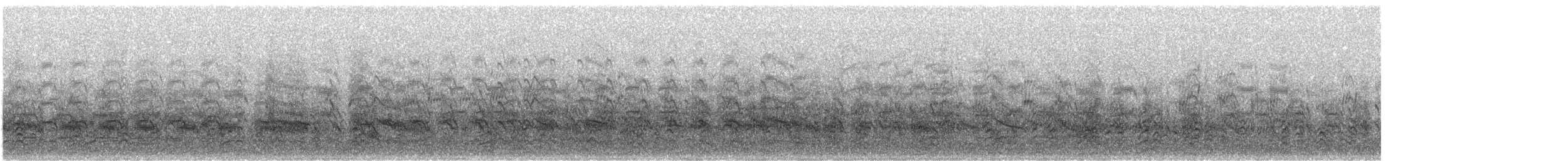 Forster's Tern - ML636778809