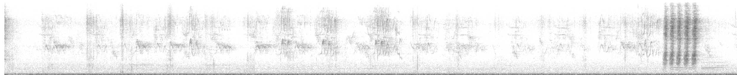 maghrebskjære - ML636778821