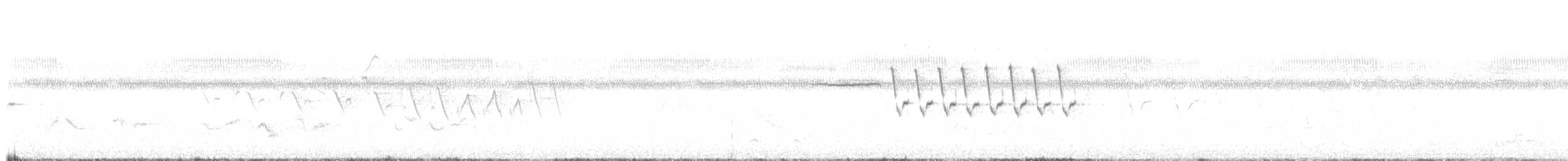 Bachman's Sparrow - ML636779069