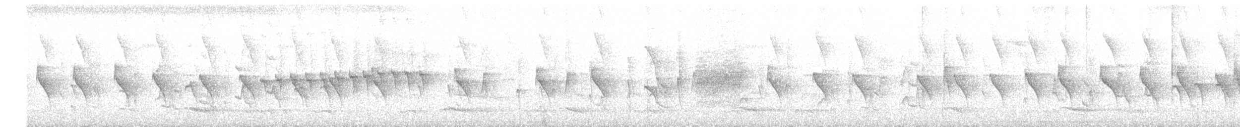 Dot-winged Antwren - ML636779656