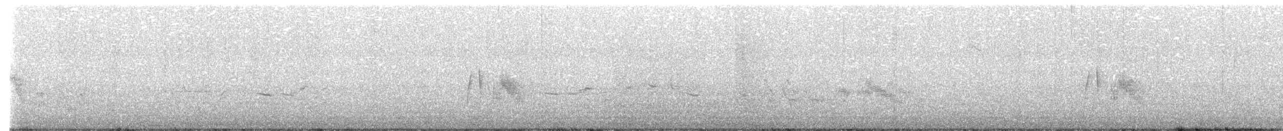 Willow Flycatcher - ML636779668