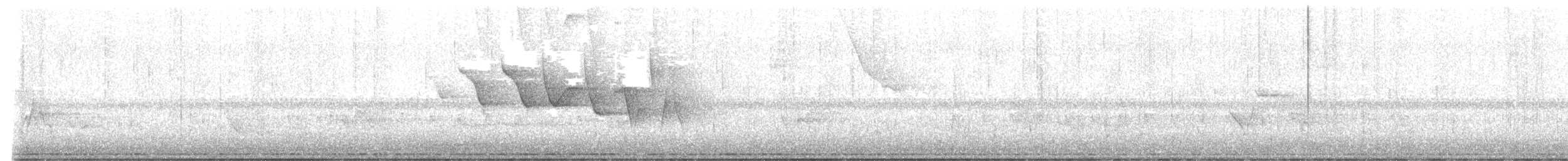 Louisiana Waterthrush - ML636780242