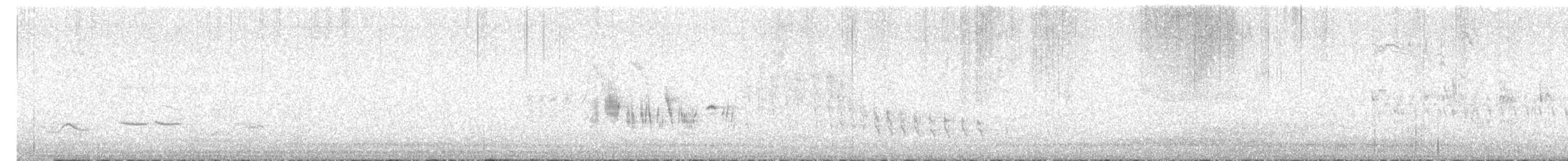 Traquet noir et blanc - ML636780309