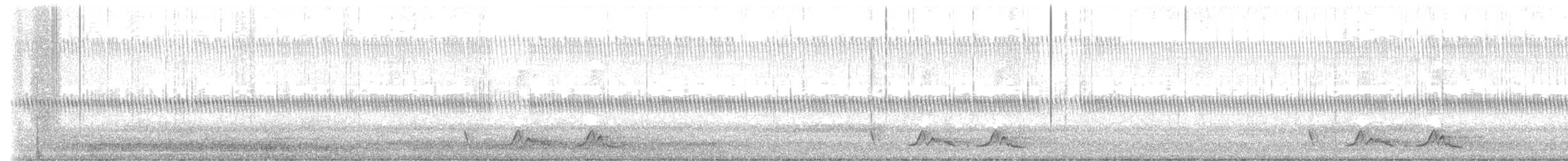 Chuck-will's-widow - ML636780315